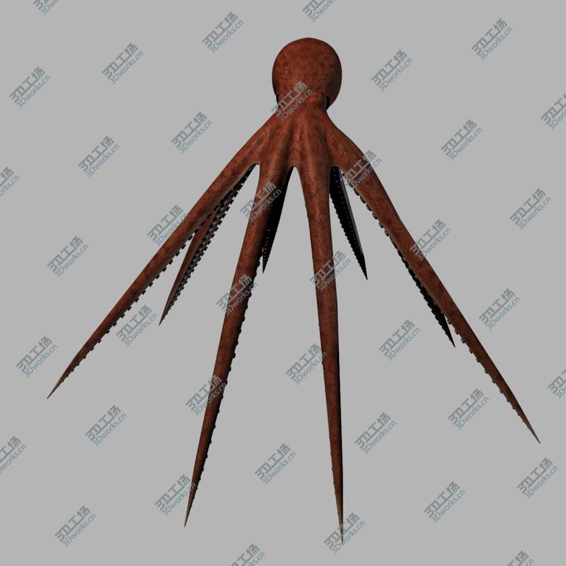images/goods_img/20210313/Octopus RIGGED/4.jpg